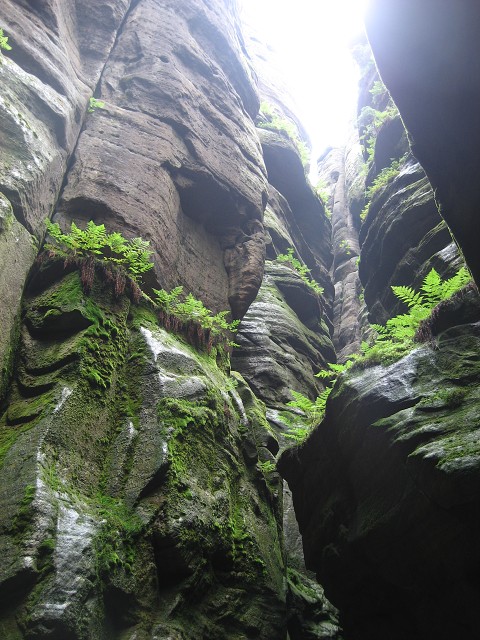 img00066.jpg