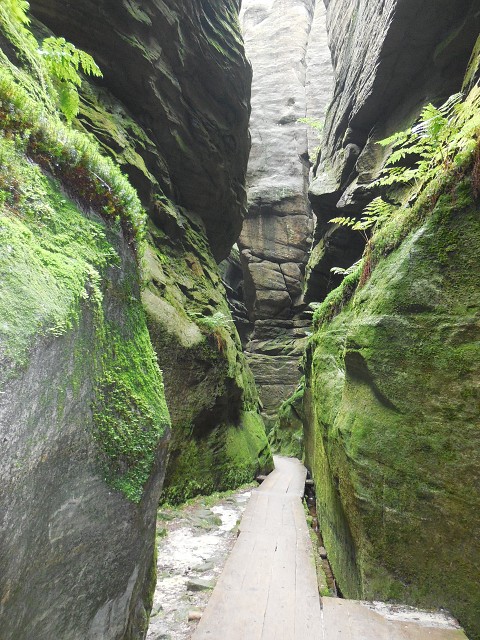 img00074.jpg