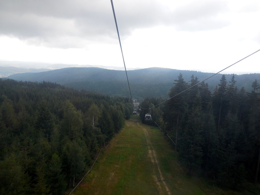 img00091.jpg