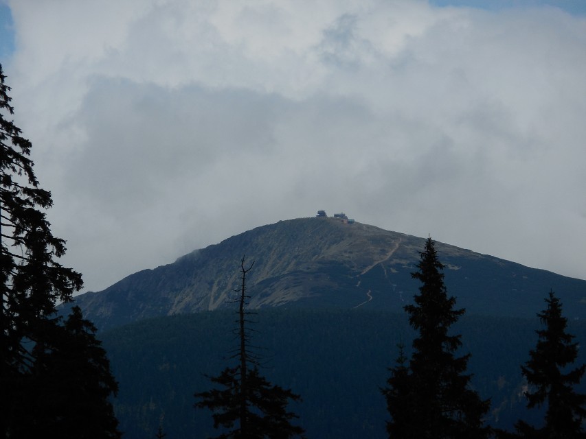 img00095.jpg