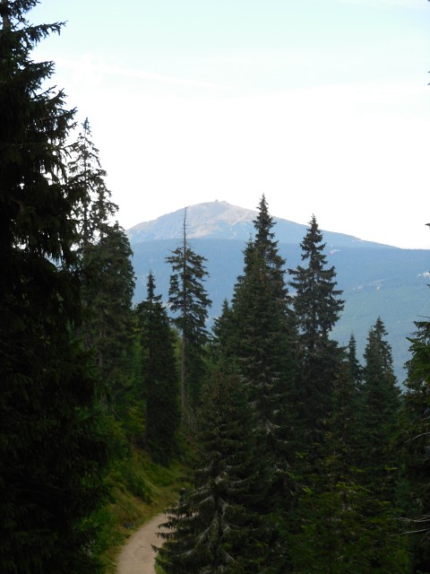 img00096.jpg