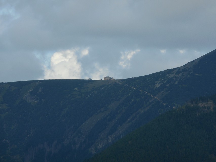 img00106.jpg