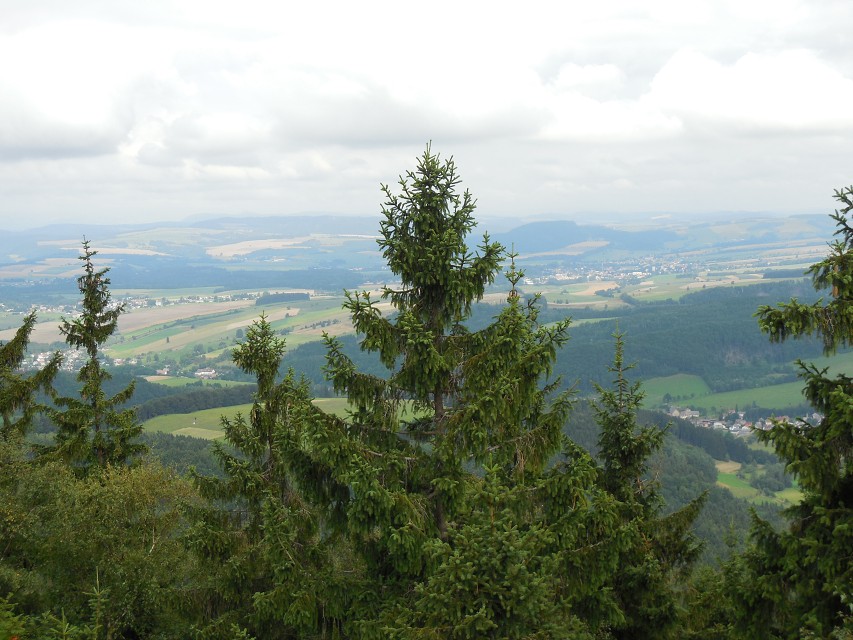 img00117.jpg