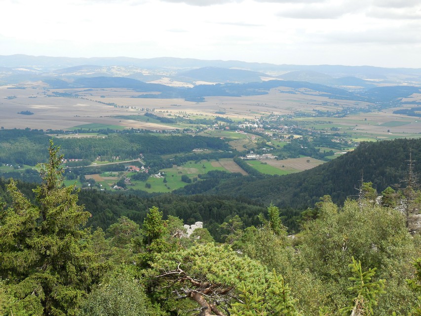 img00156.jpg