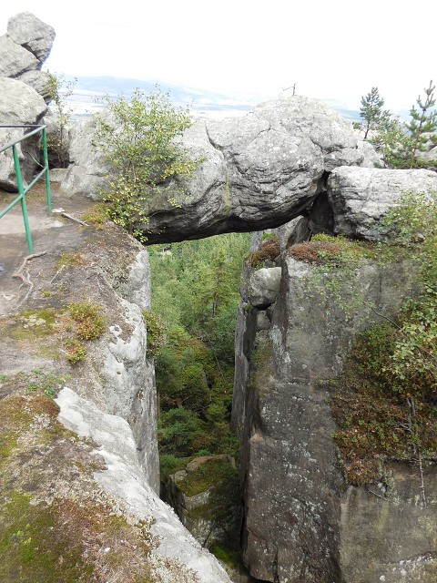 img00161.jpg
