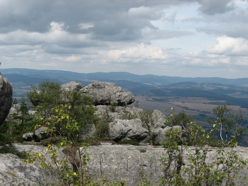 img00175.jpg