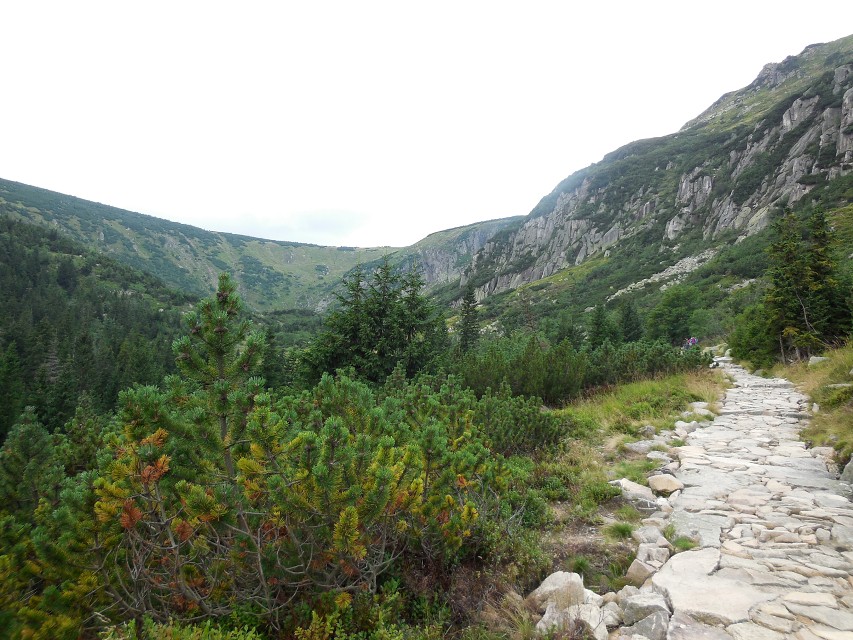 img00183.jpg