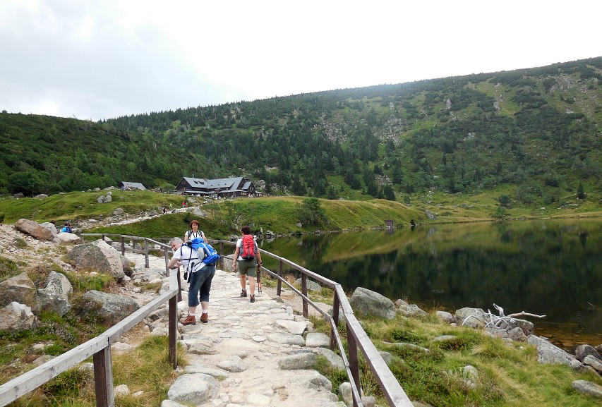 img00186.jpg