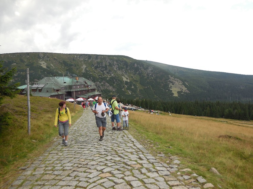 img00192.jpg