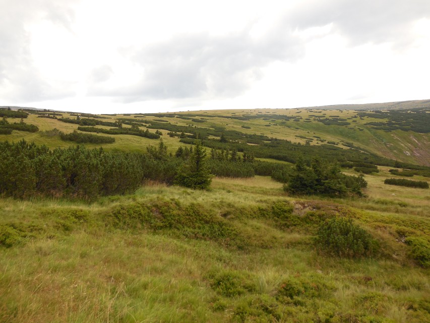 img00194.jpg