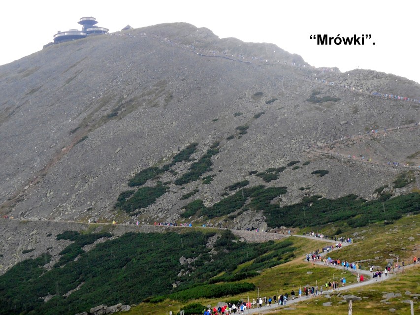 img00197.jpg