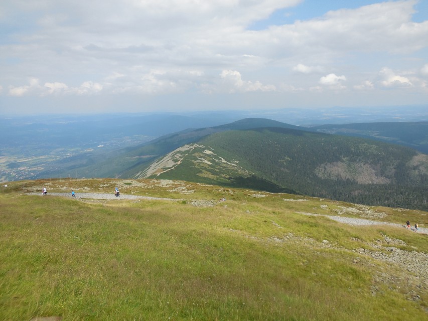 img00206.jpg