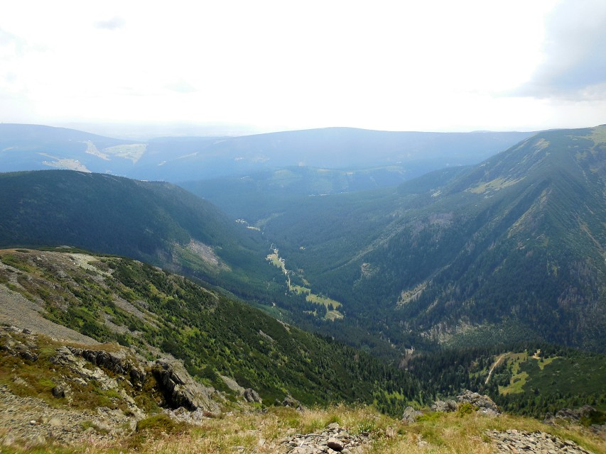 img00207.jpg