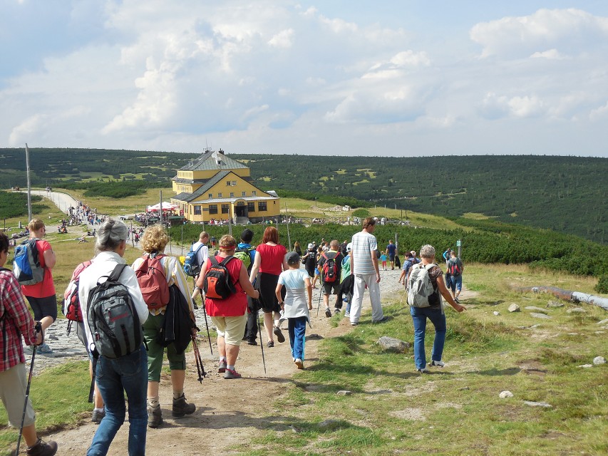 img00210.jpg
