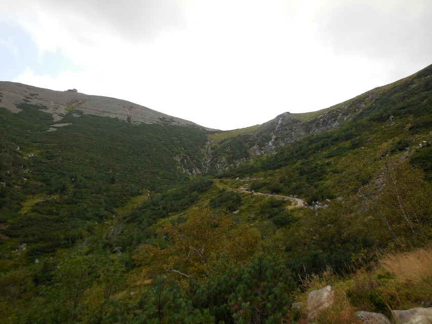 img00214.jpg
