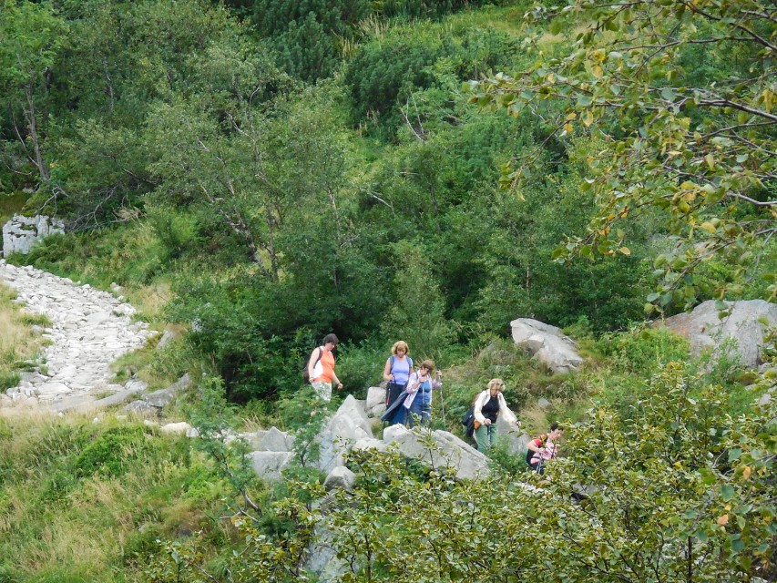 img00215.jpg