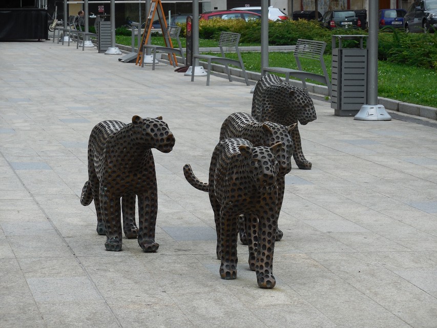 img00259.jpg