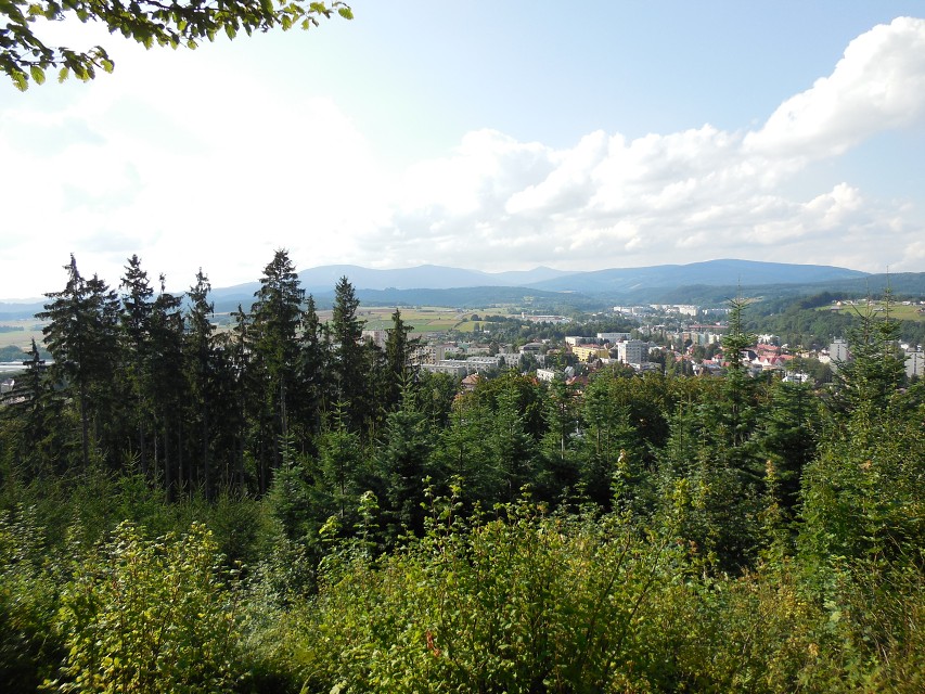 img00264.jpg