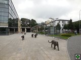 thn00258.jpg