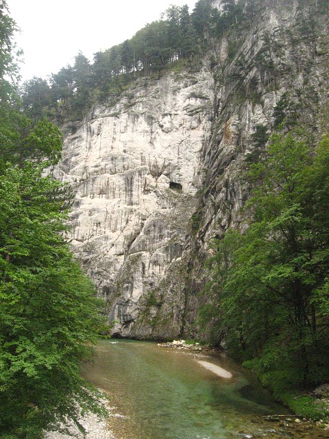 img00003.jpg