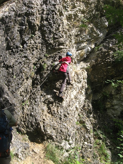 img00008.jpg