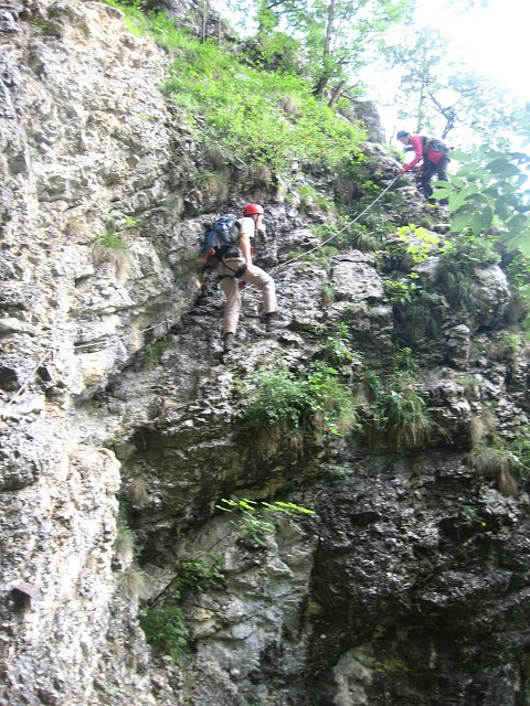 img00009.jpg