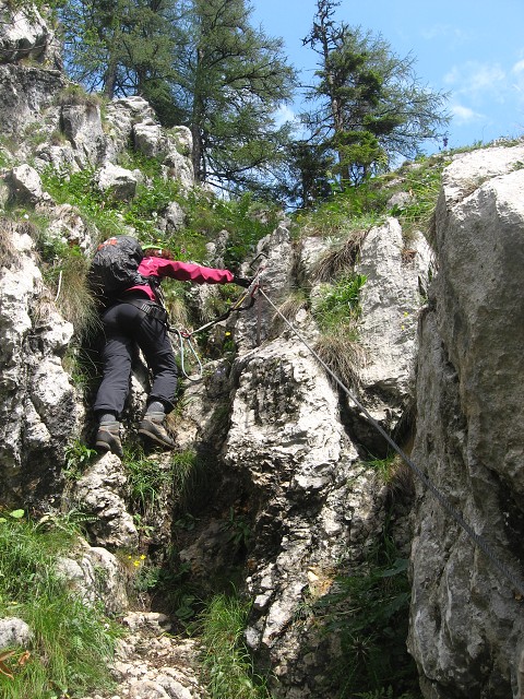 img00010.jpg