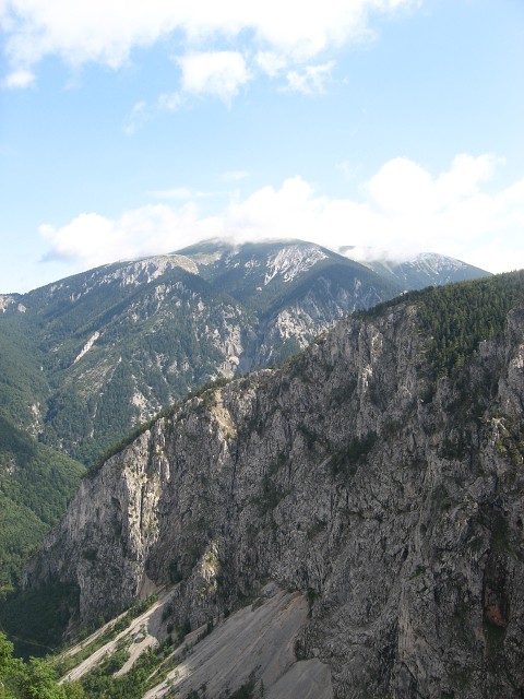 img00011.jpg
