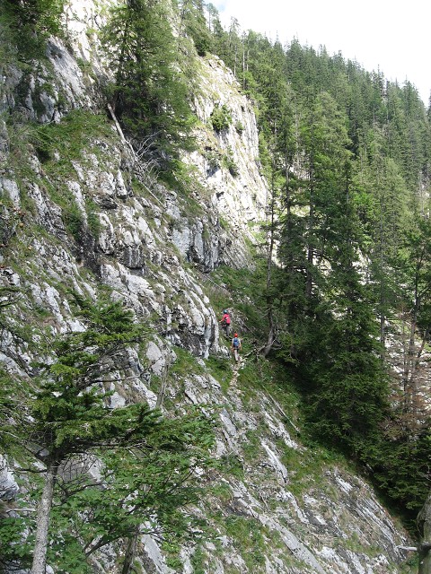 img00012.jpg