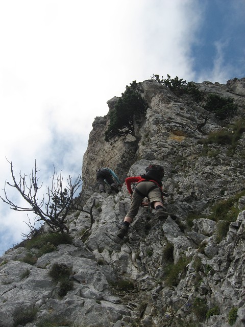 img00031.jpg