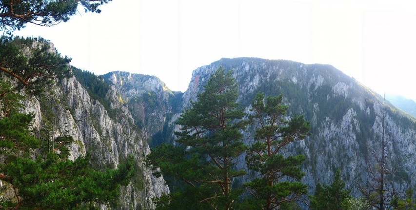 img00039.jpg