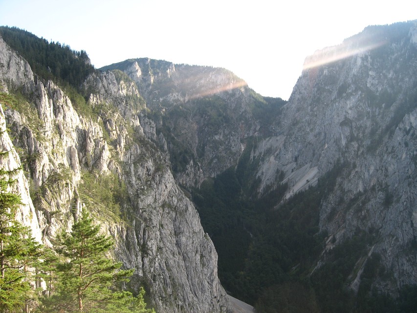 img00040.jpg