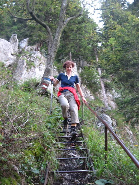 img00041.jpg