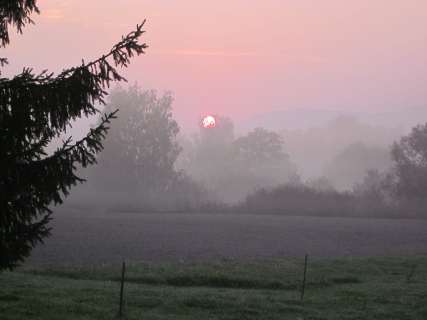 img00002.jpg