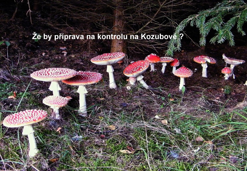img00021.jpg