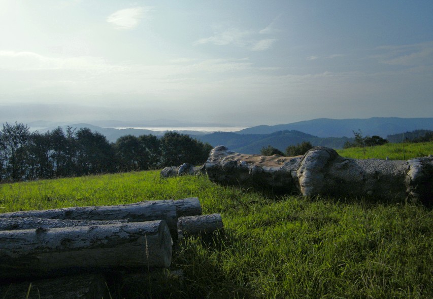 img00022.jpg