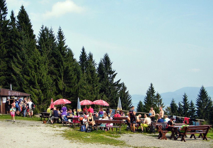 img00029.jpg