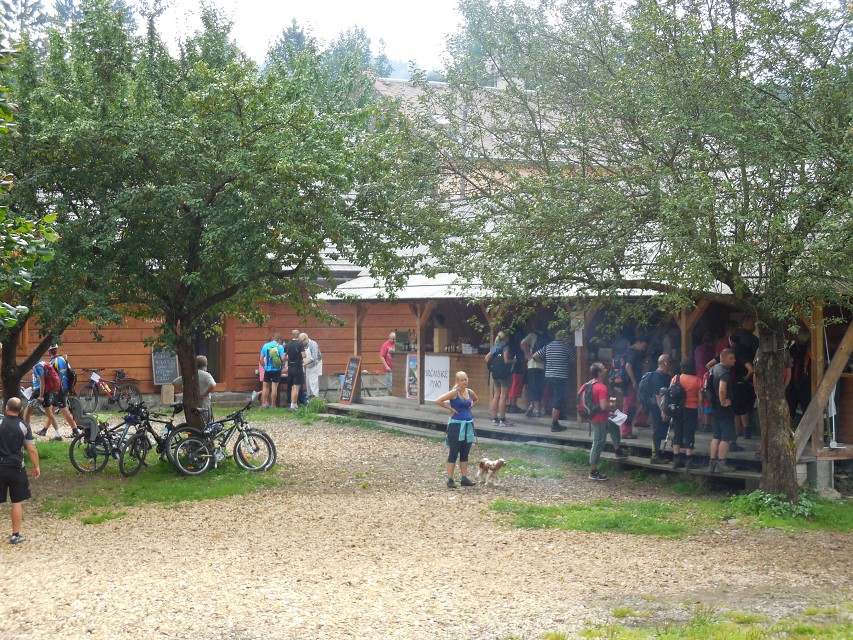 img00045.jpg