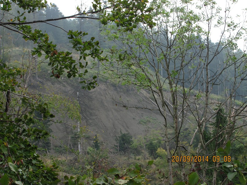 img00006.jpg