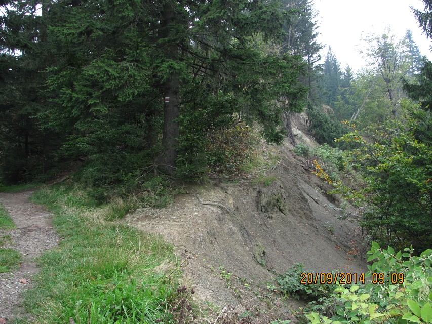 img00007.jpg