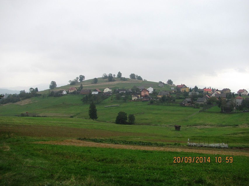 img00012.jpg