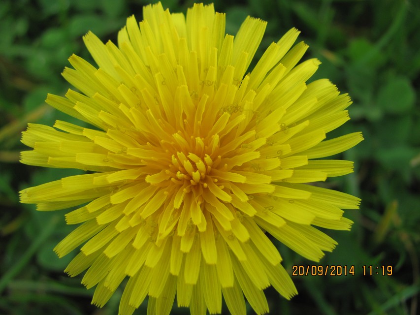 img00015.jpg