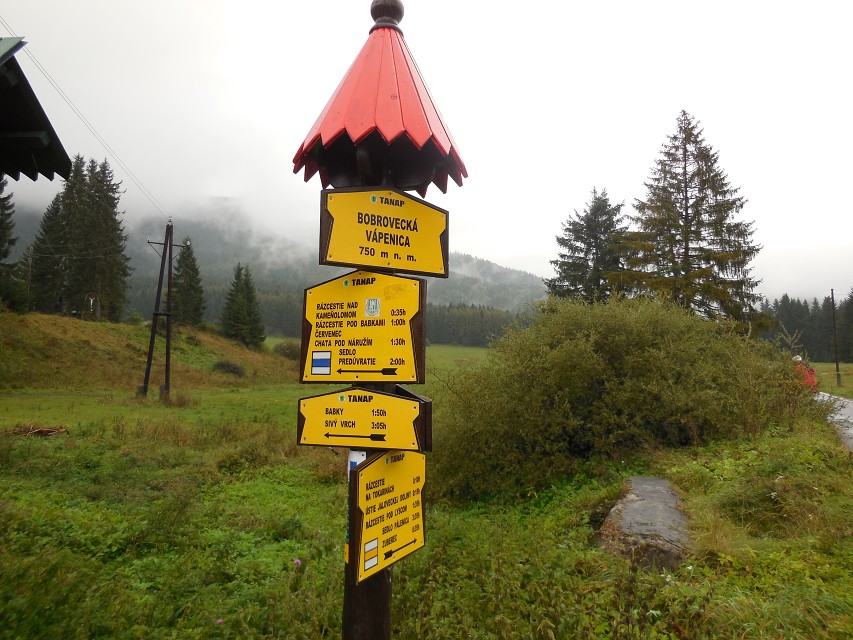 img00002.jpg
