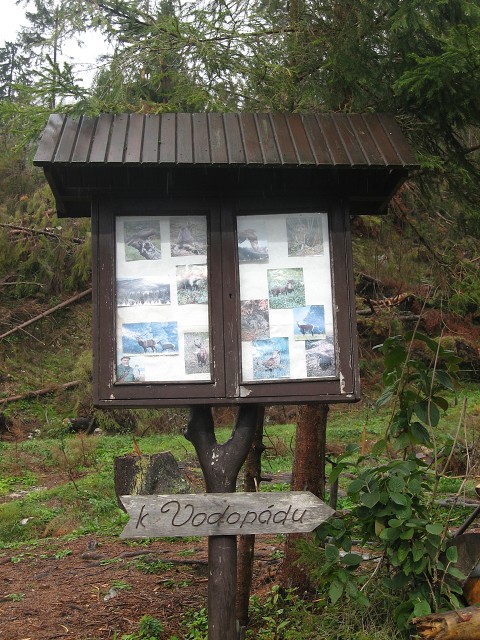 img00004.jpg