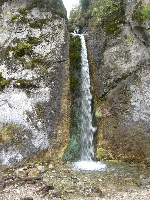 img00005.jpg
