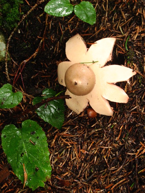img00006.jpg