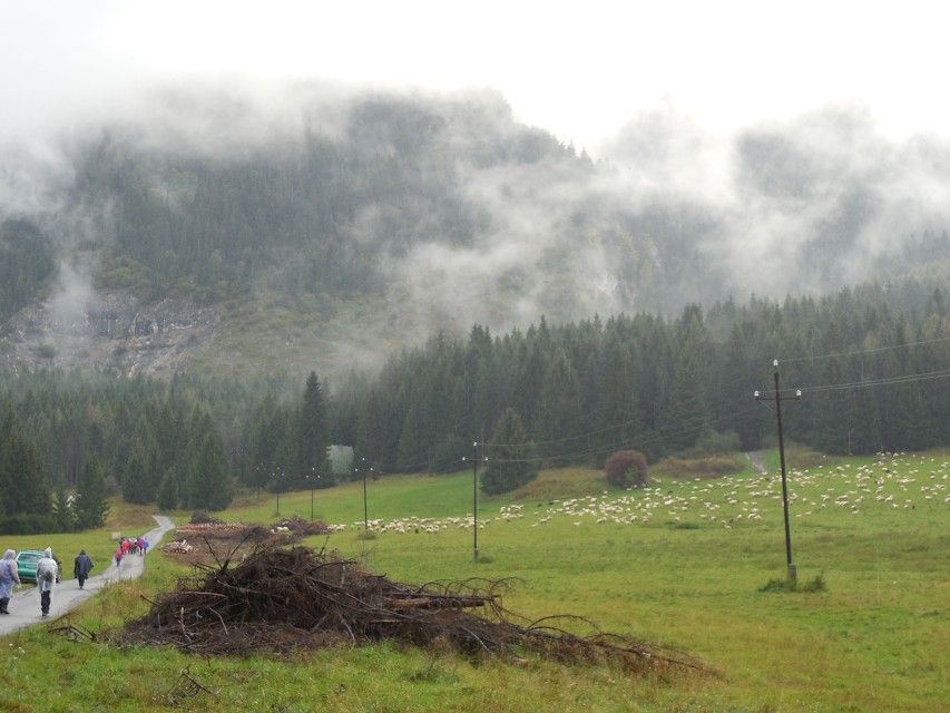 img00007.jpg