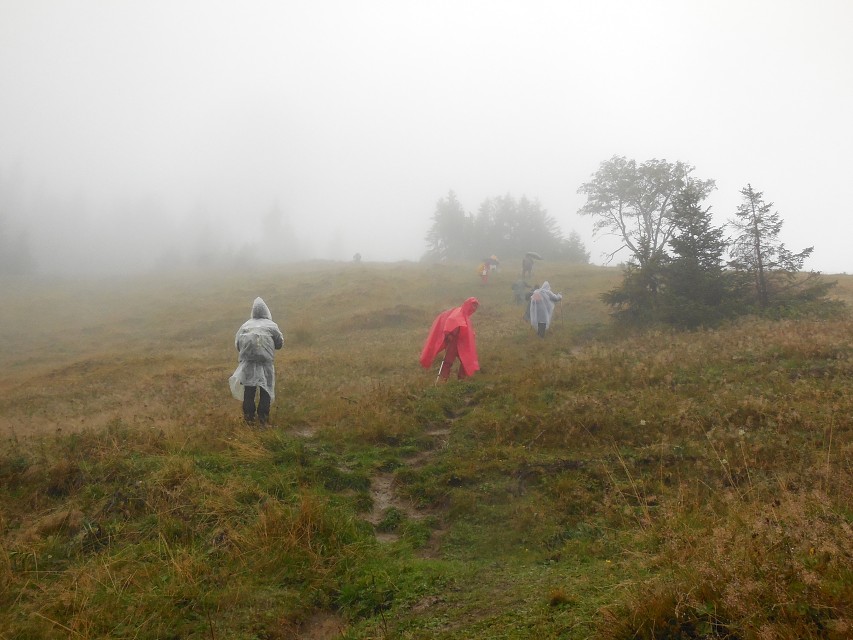 img00015.jpg