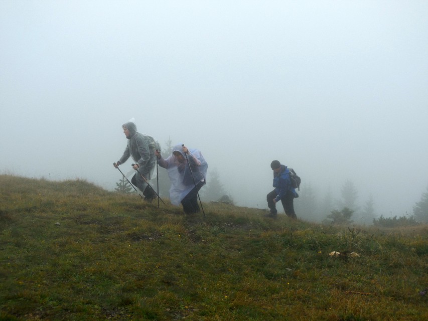 img00016.jpg