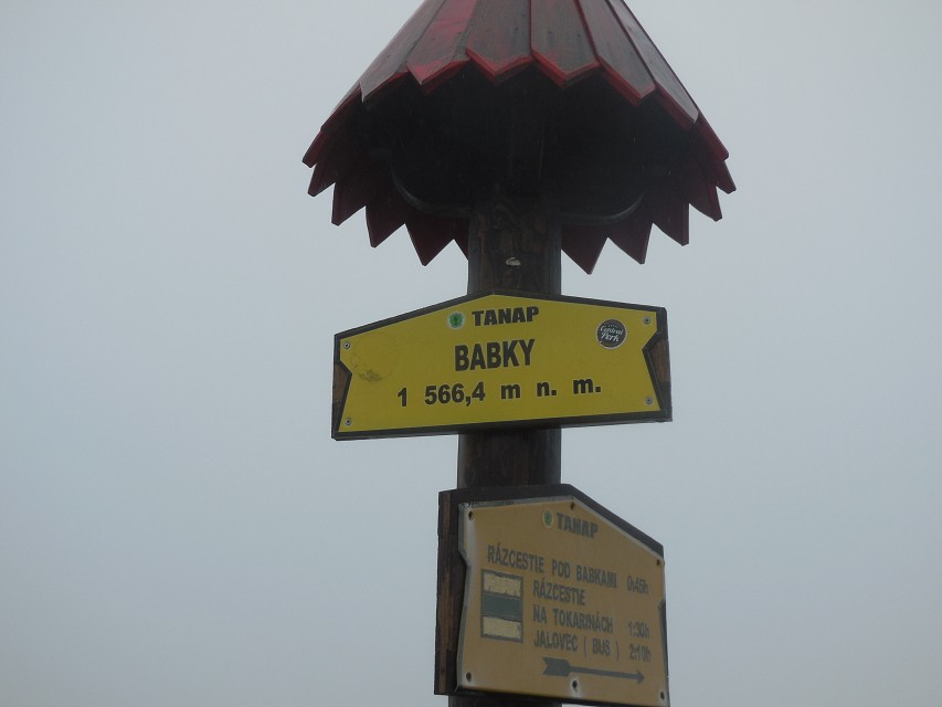 img00017.jpg